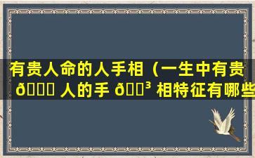 有贵人命的人手相（一生中有贵 🐝 人的手 🐳 相特征有哪些）